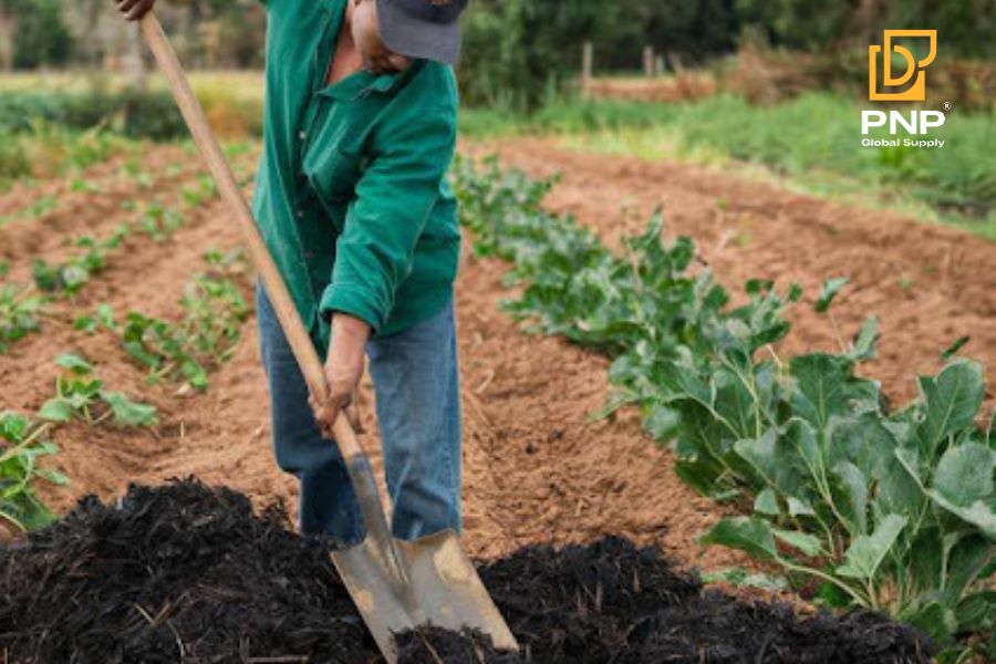 In agriculture, eucalyptus charcoal is used as biochar, biochar is a soil enhancer that makes better soil and helps plants grow