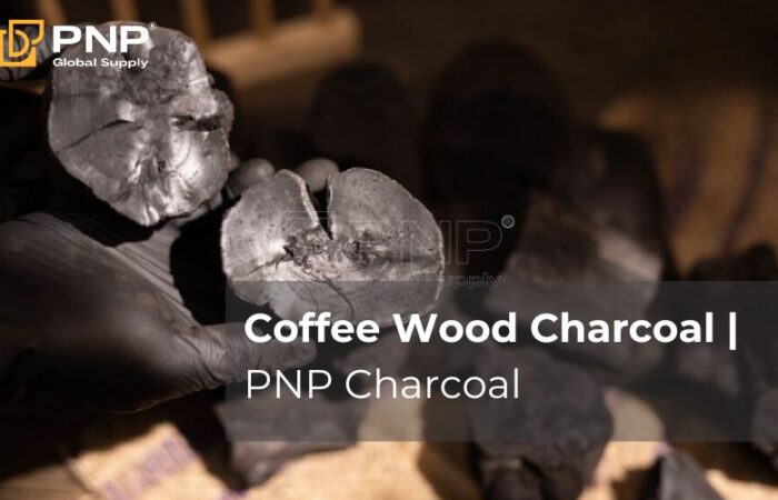 Coffee charcoal in a rustic ceramic cup with steam rising in the morning light.