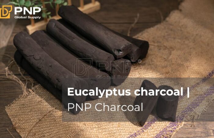 Eucalyptus charcoal | PNP Charcoal