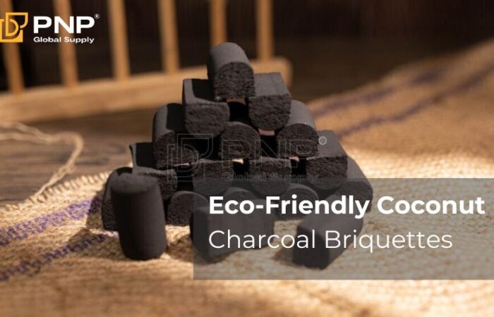 Eco-Friendly Coconut Charcoal Briquettes | PNP Charcoal