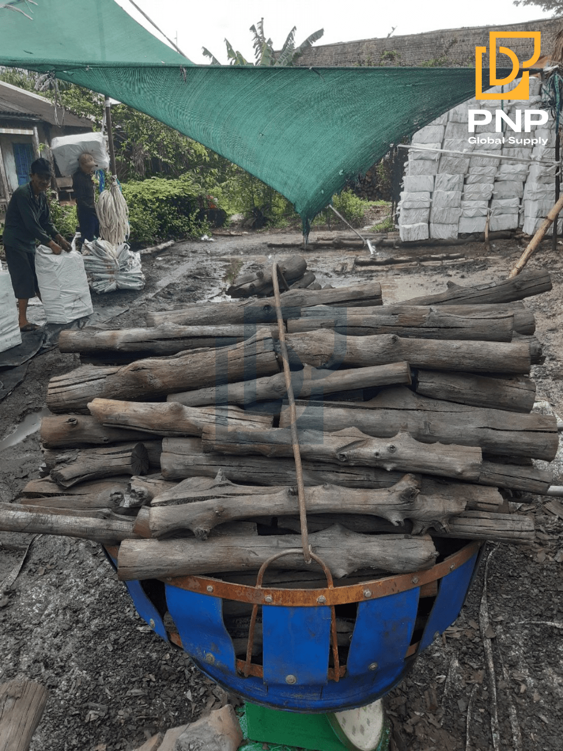 PNP mangrove charcoal price