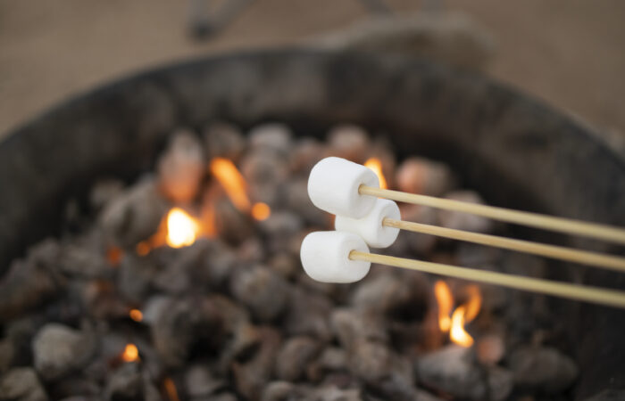 start-a-fire-with-sawdust-charcoal