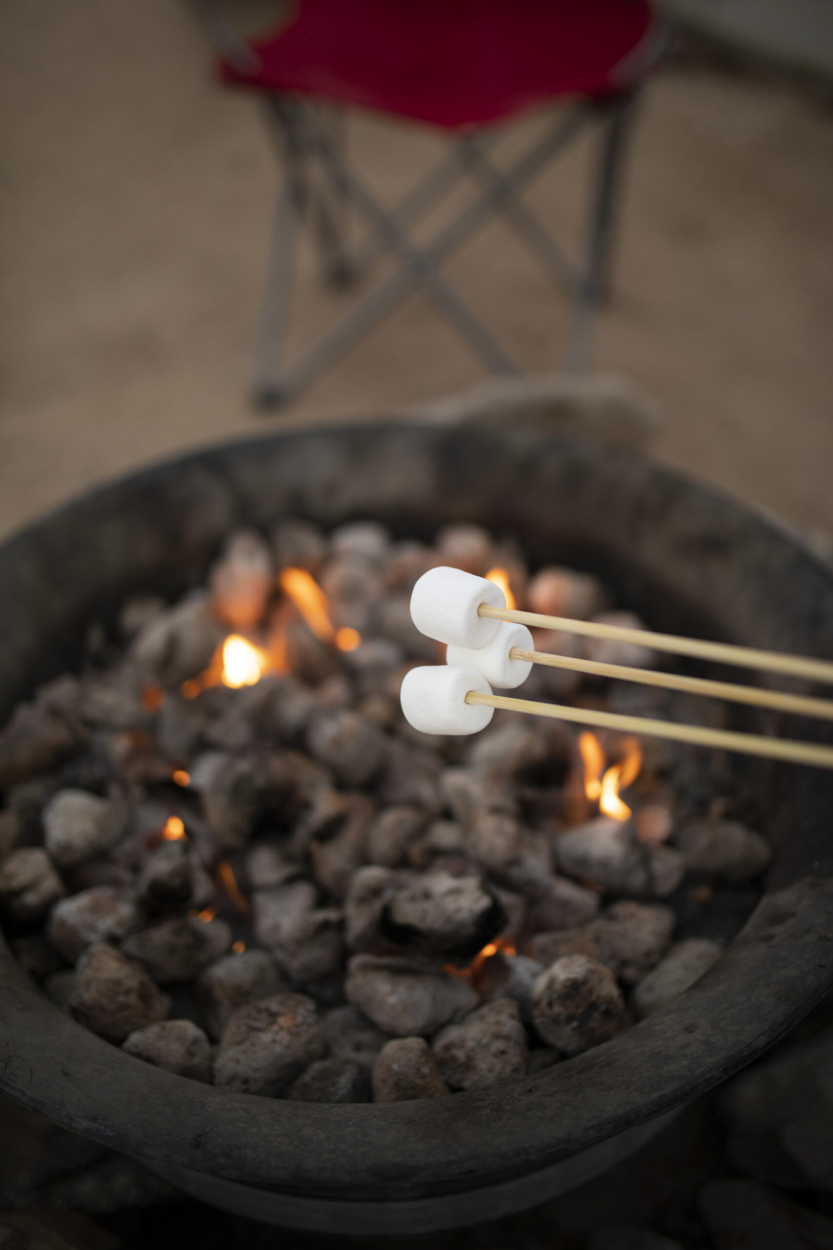 start-a-fire-with-sawdust-charcoal