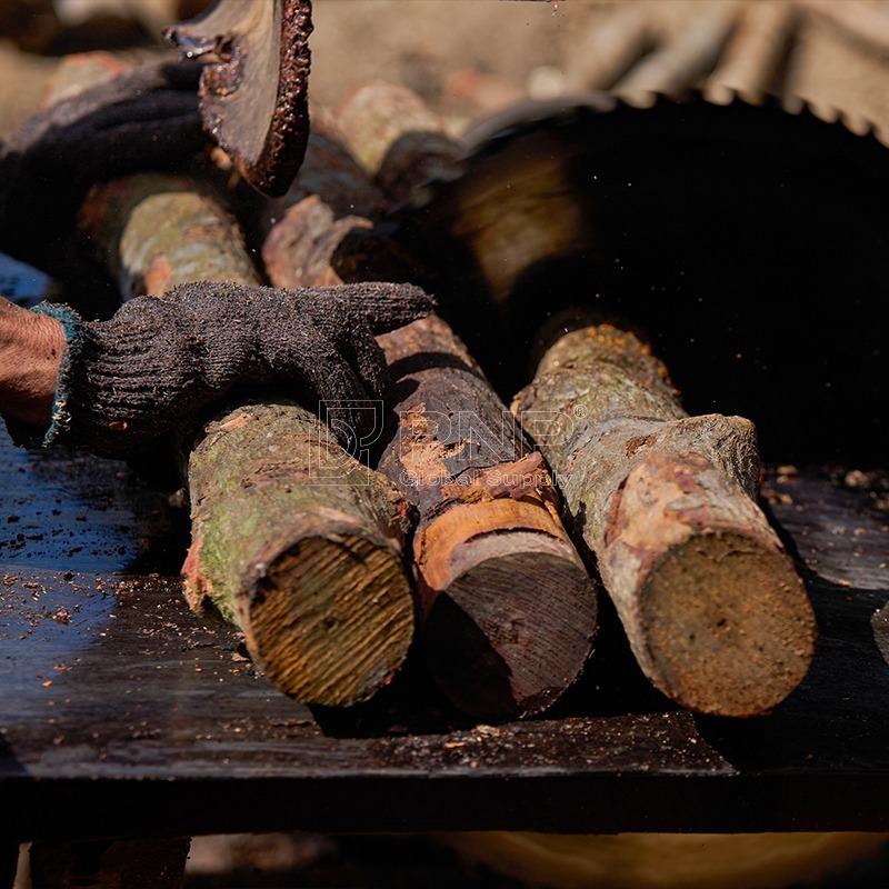 pnp-charcoal-production-process-cutting-wood