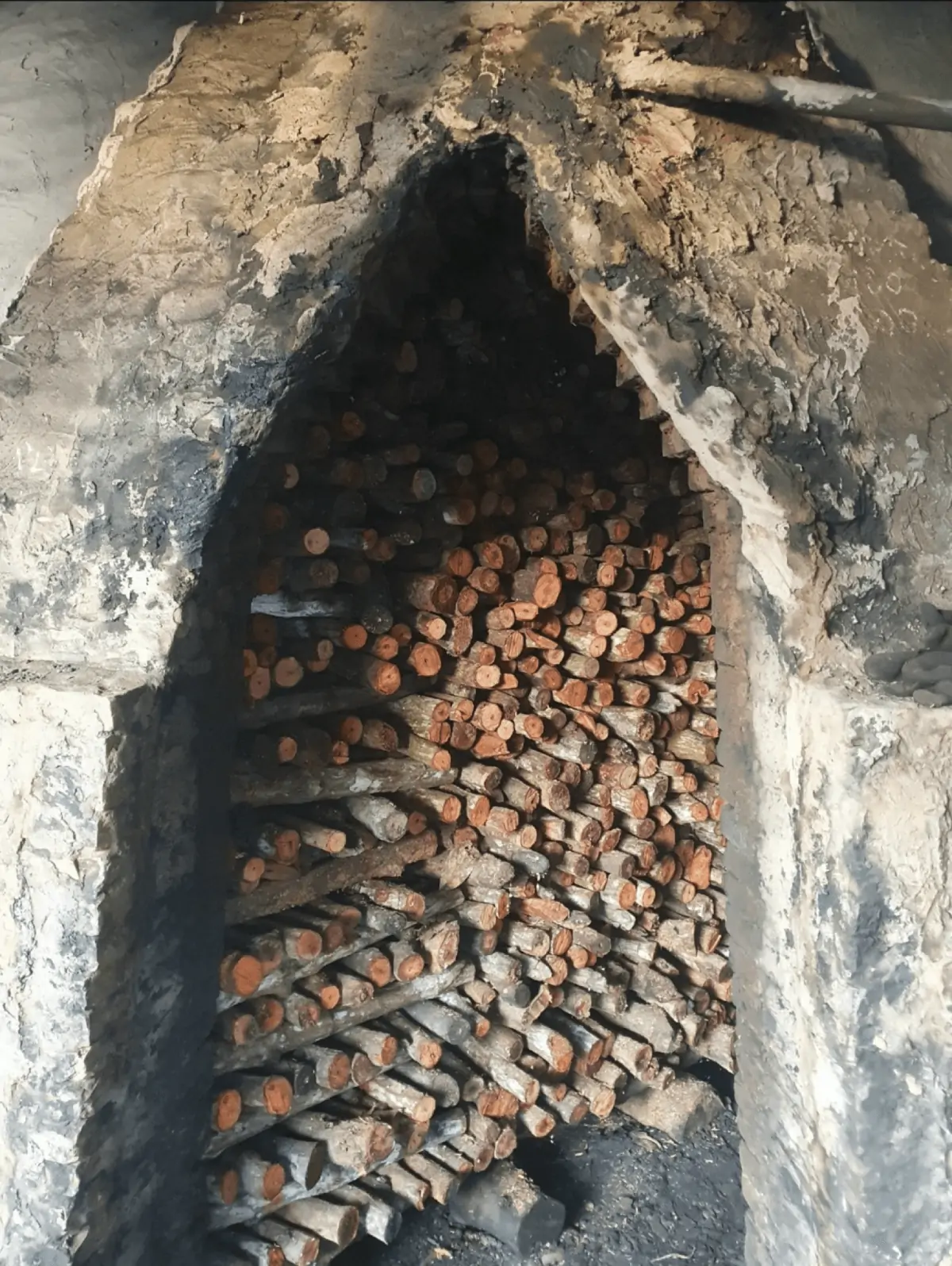 pnp-charcoal-production-process-arrange-into-kiln