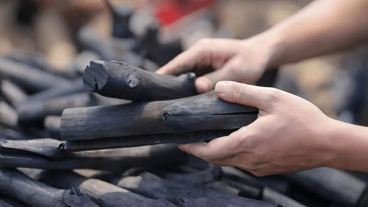 pnp-charcoal-production-process-take-out-charcoal