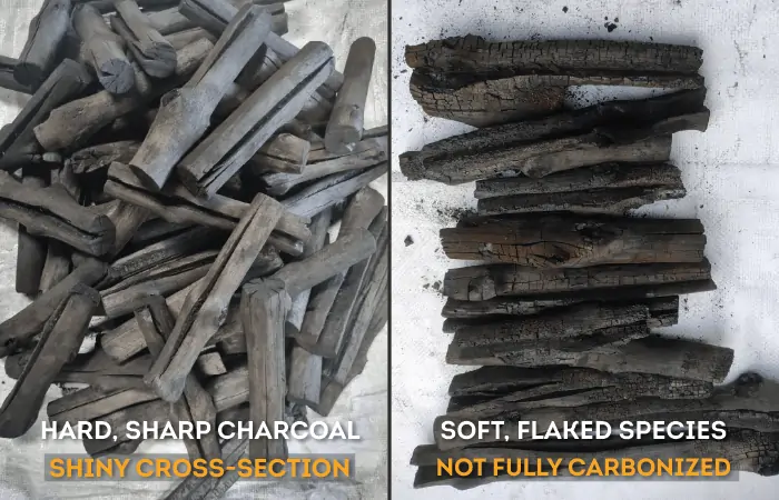 pnp-charcoal-production-process-classifying-charcoal