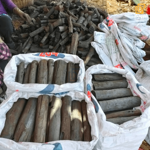 eucalyptus-charcoal-production 