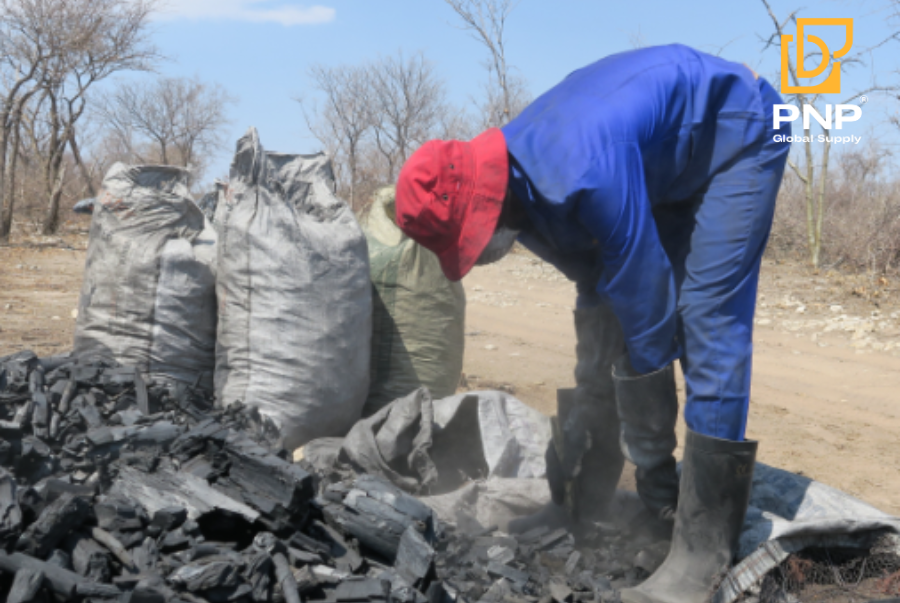 The-Importance-of-FSC-Certification-in-Charcoal-Production