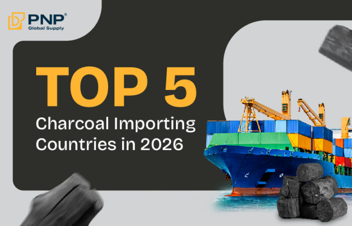 Top 5 Charcoal Importing Countries in 2025