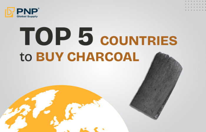Best Countries to Buy Charcoal From