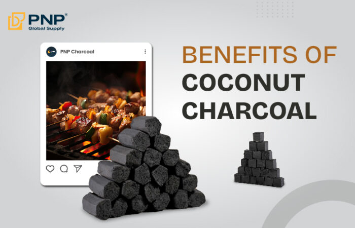 benefits of coconut charcoal