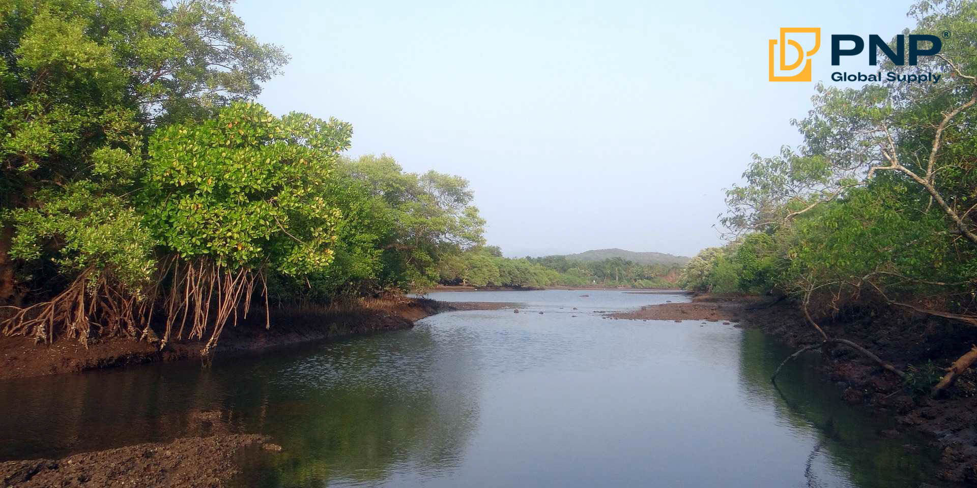Vietnam’s forests provide raw materials for natural lump charcoal