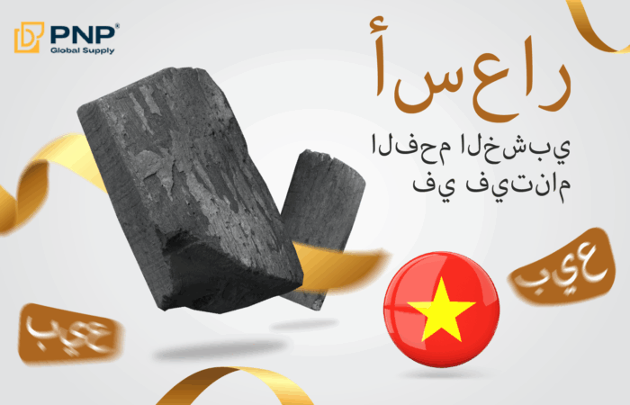 استكشاف سعر الفحم في السوق الفيتنامي