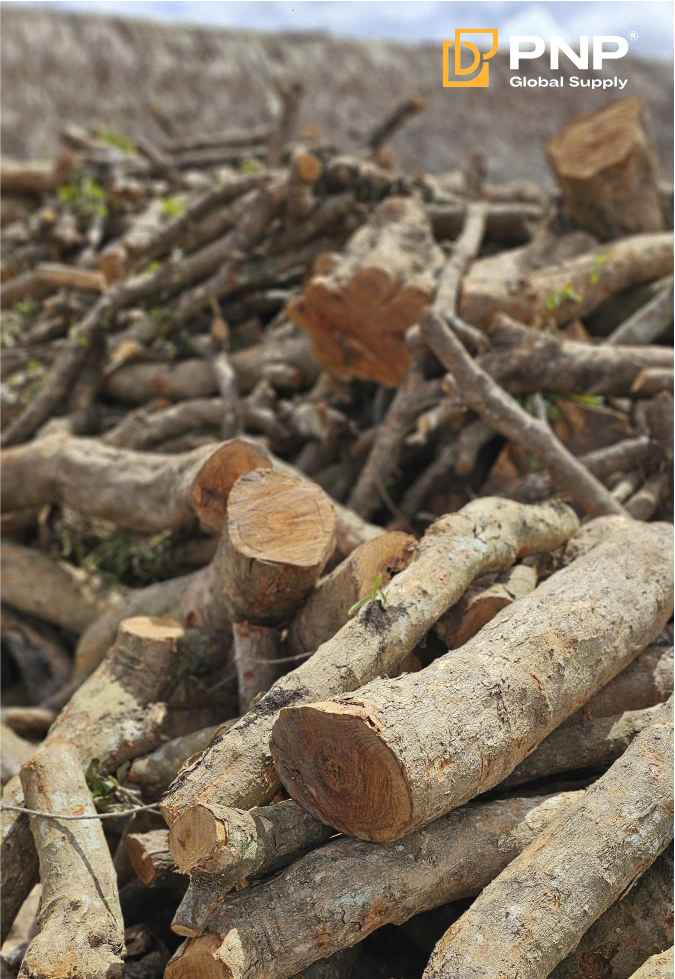 Discover the Best Wood to Make Charcoal for Perfect Grilling 2 Longan wood yields high-heat charcoal