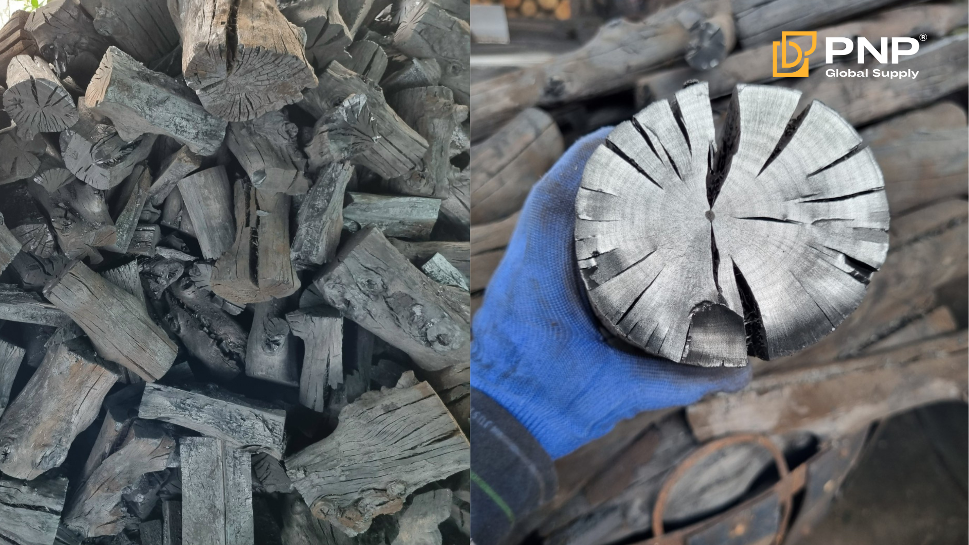 Mangrove Charcoal 10–15 cm