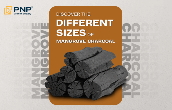 Discover the Different sizes of mangrove charcoal