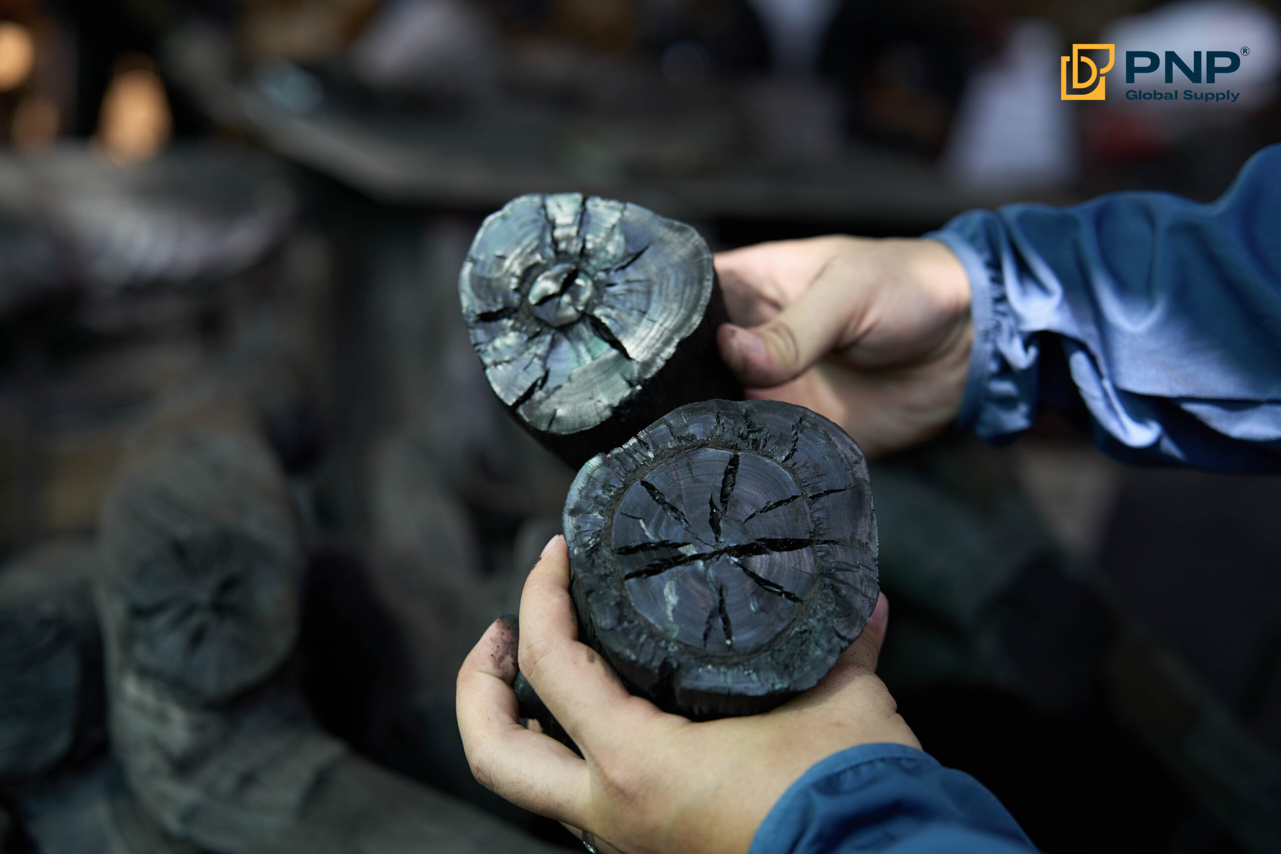 How to Make Longan Charcoal: A Complete Guide to Longan Charcoal Production 3 Premium longan charcoal for clean, stable, professional grilling