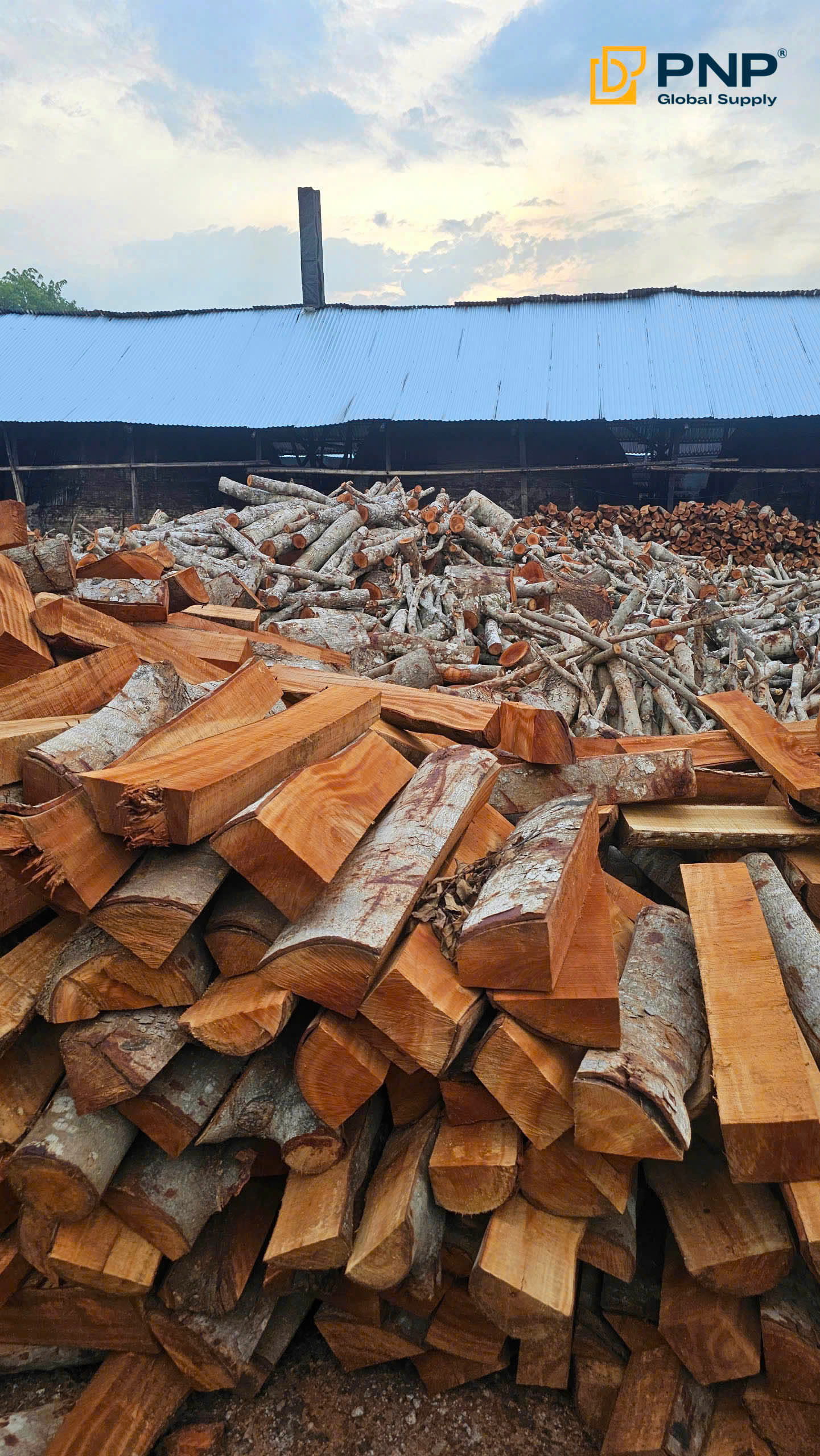 How to Identify High-Quality Khaya Charcoal for BBQ 3 Khaya wood is the core raw material used by PNP Charcoal to produce high-quality charcoal