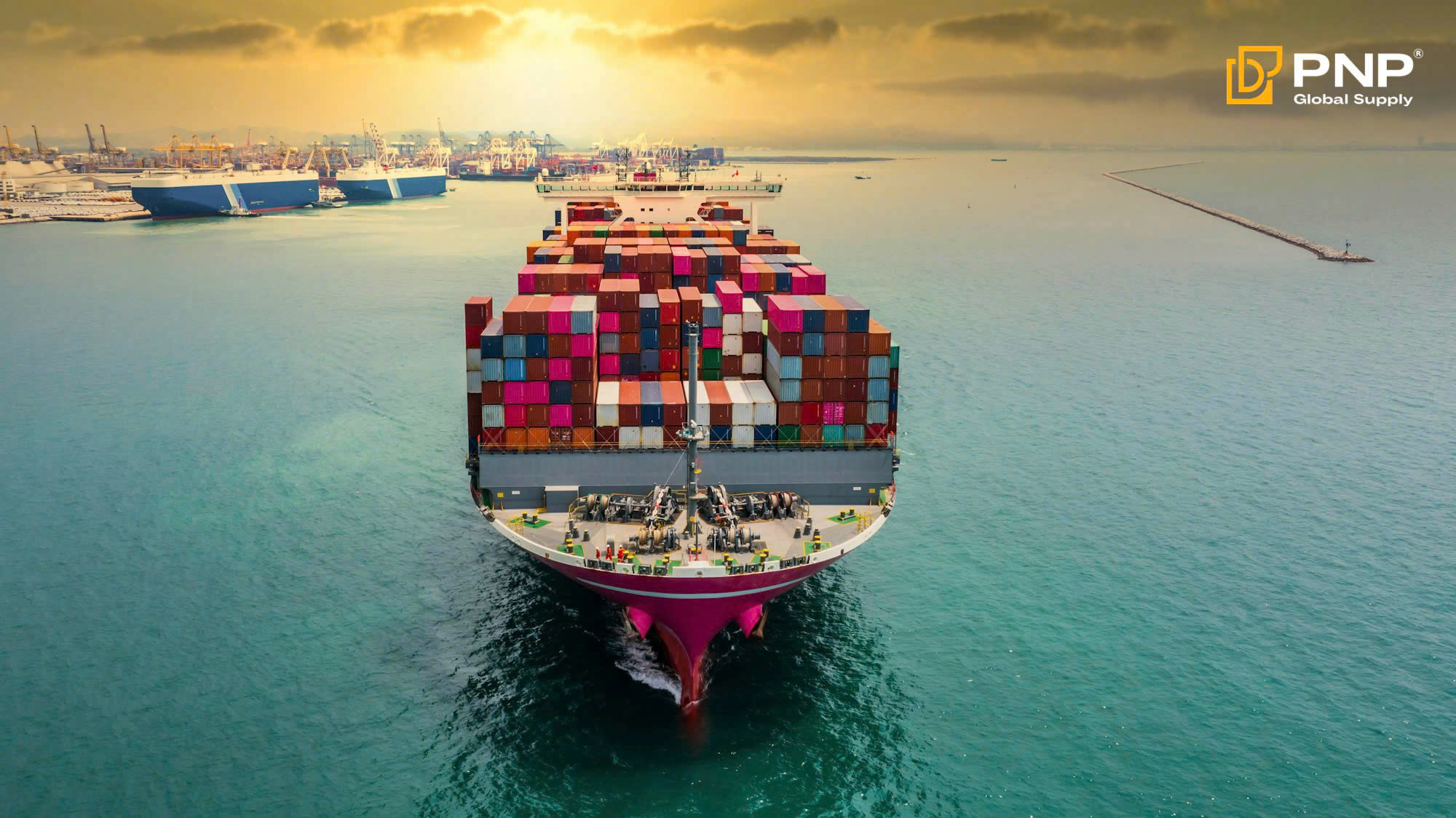 Essential shipping issues every new charcoal importers should know