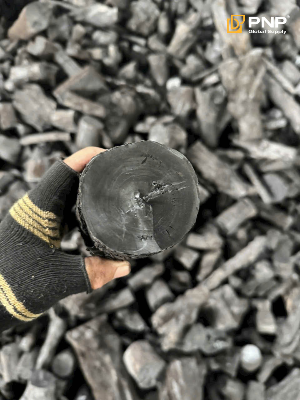 PNP Charcoal – trusted quality charcoal and export solutions