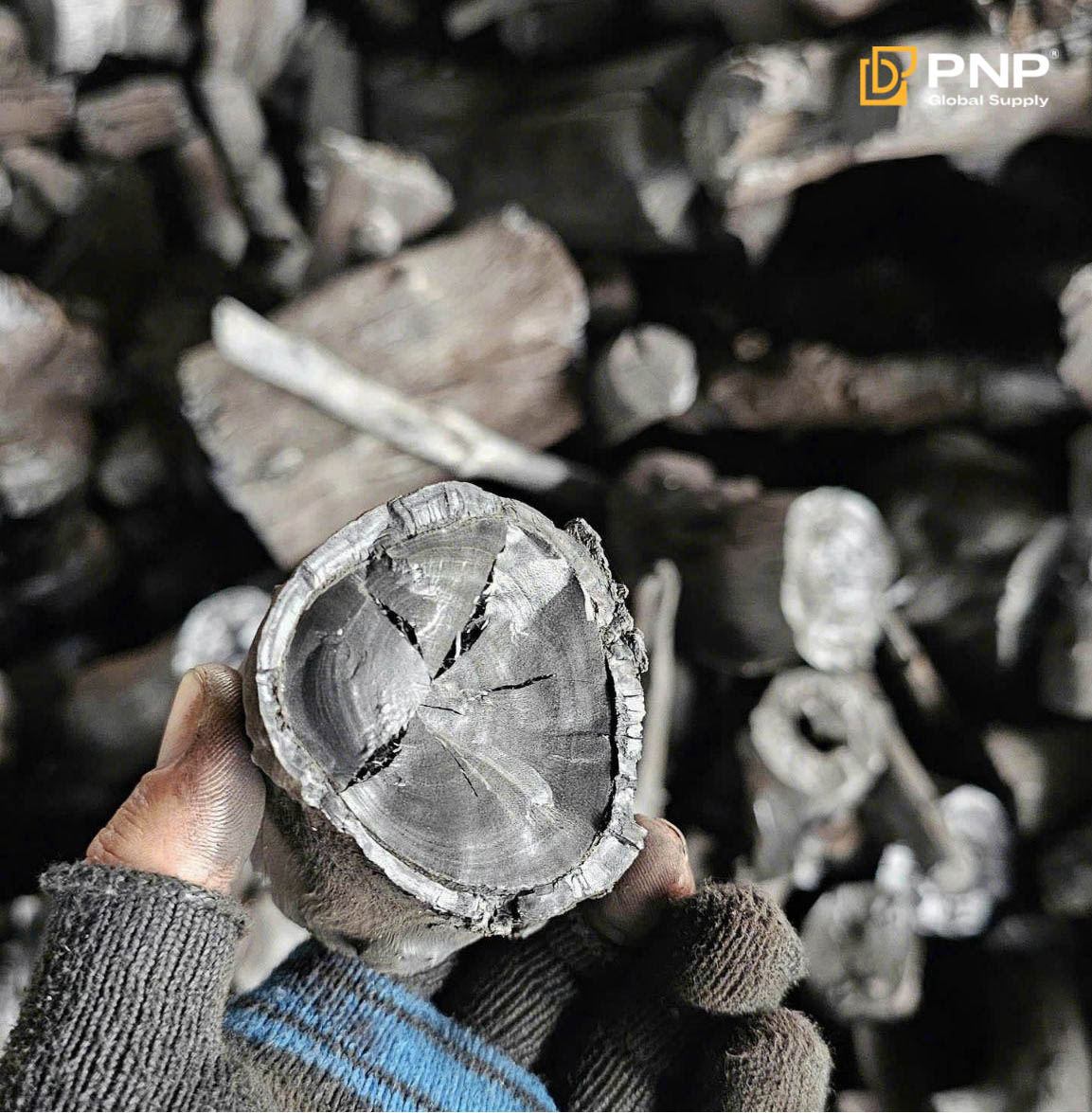 Longan charcoal from PNP Charcoal