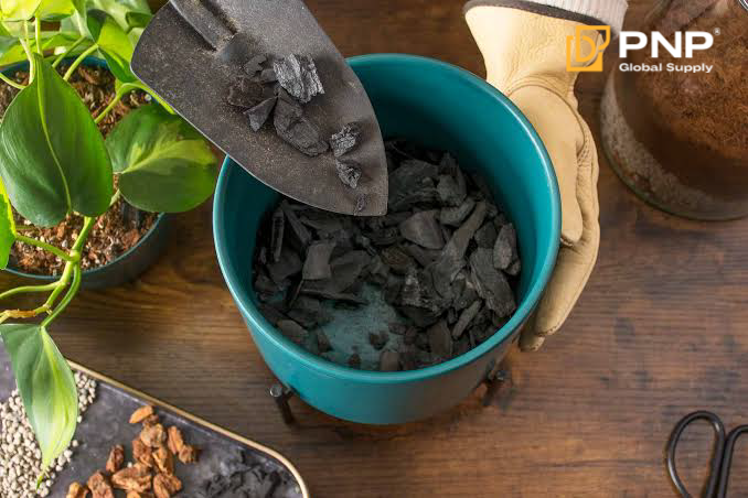Charcoal helps plants thrive with better drainage and aeration Charcoal helps plants thrive with better drainage and aeration