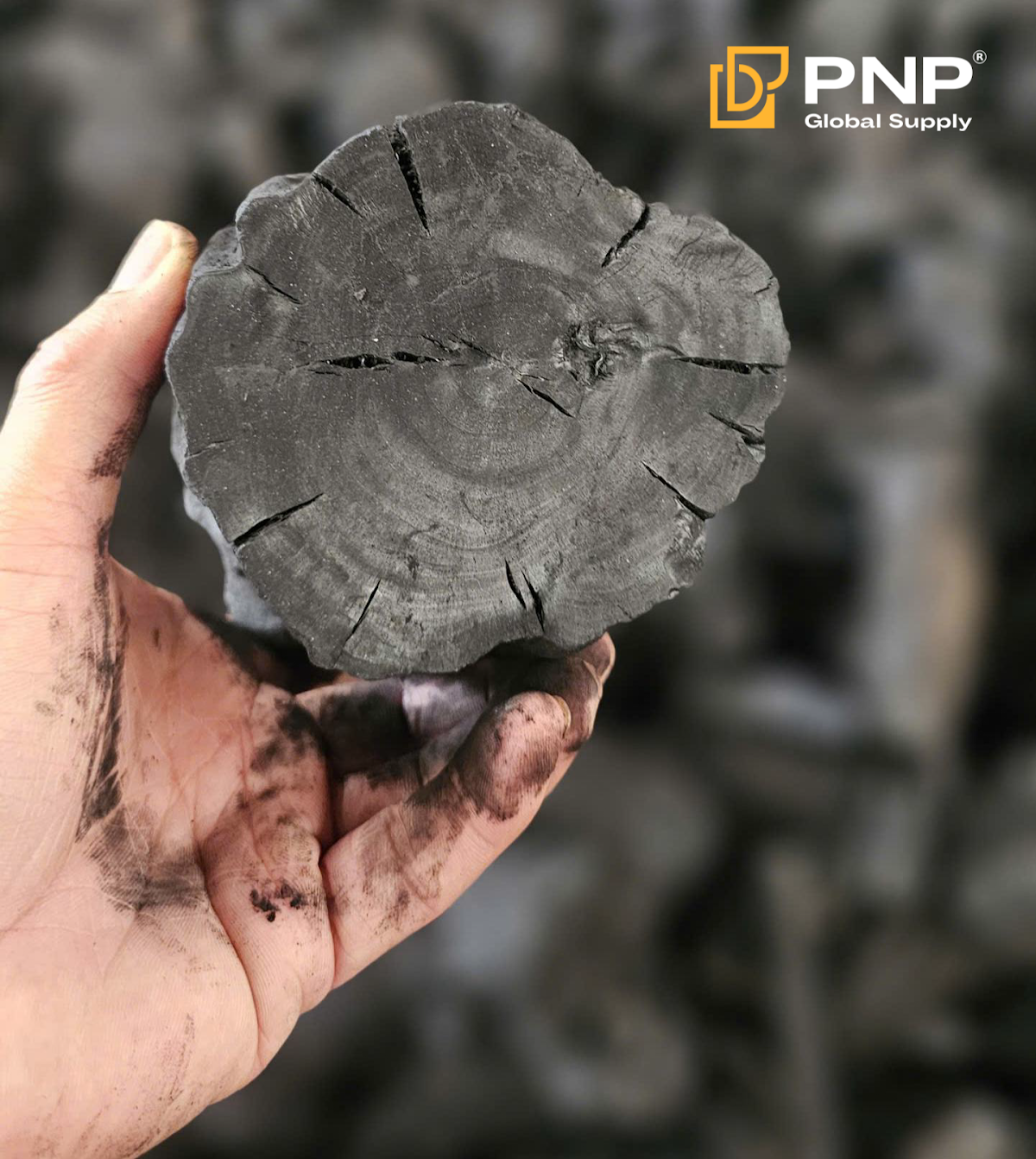 Coffee wood charcoal offers steady heat for BBQ and grilling