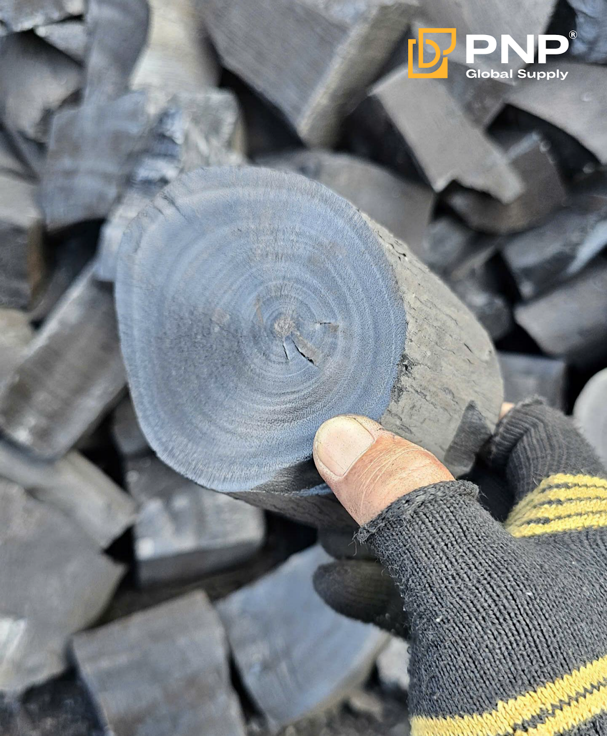 Kaya charcoal delivers steady heat and natural hardwood performance for BBQ and grilling