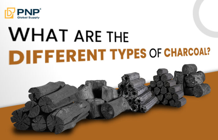 What Are the Different Types of Charcoal?