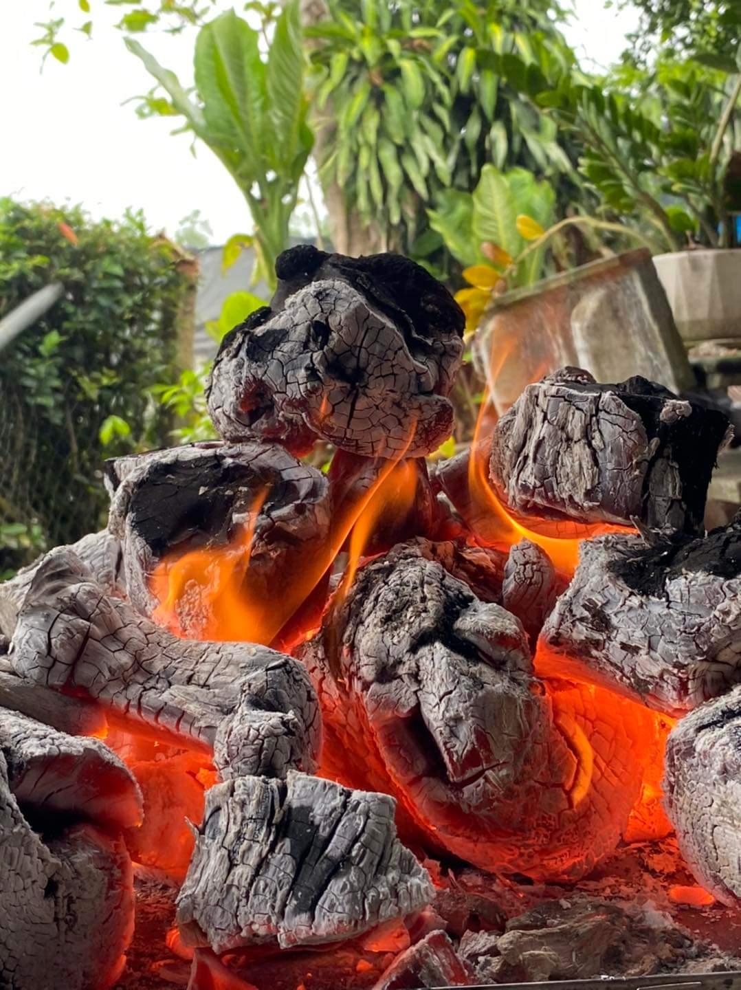 Quality Bulk Lump Charcoal for Sale from Vietnam 6 Vietnam Charcoal for sale from PNP Charcoal