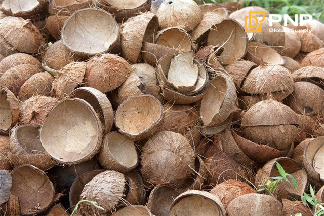 What Is Charcoal Made Of? A Practical Guide for Charcoal Buyers 7 Coconut charcoal is made from coconut shell